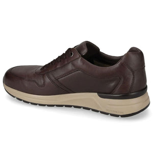 VALLEVERDE Sneaker Uomo Nappa Marrone